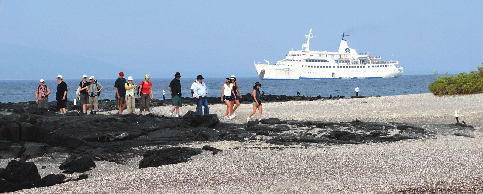 132799875_4832733616798440_1115991577852545630_n