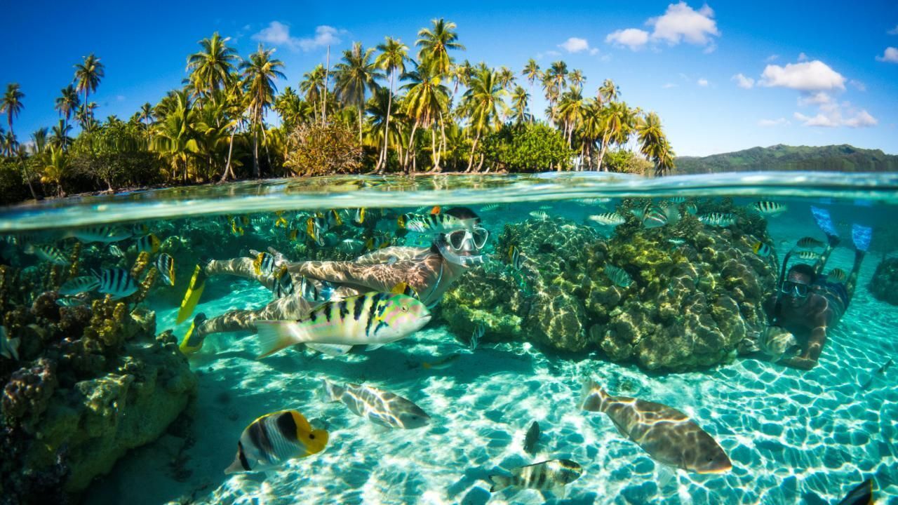 p2_02_moorea_tahiti_002_dk_2017_david_kirkland_8c13161de3