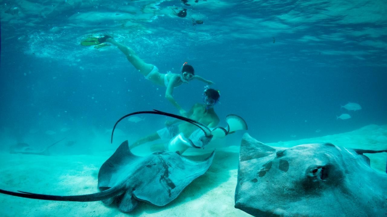 p2_02_moorea_tahiti_030_dk_2017_credits_david_kirkland_1_b2199960b9