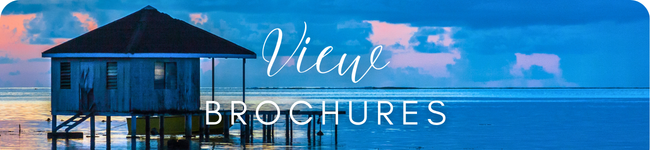 4-Mar-27-2026-07-24-05-7993-PM 4-Mar-27-2026-07-24-05-7993-PM