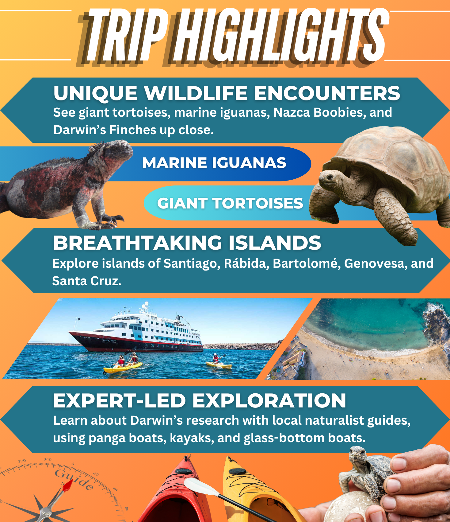 Galápagos Islands - Nature and Wildlife Expedition Cruise (1468 x 1700 px)-1