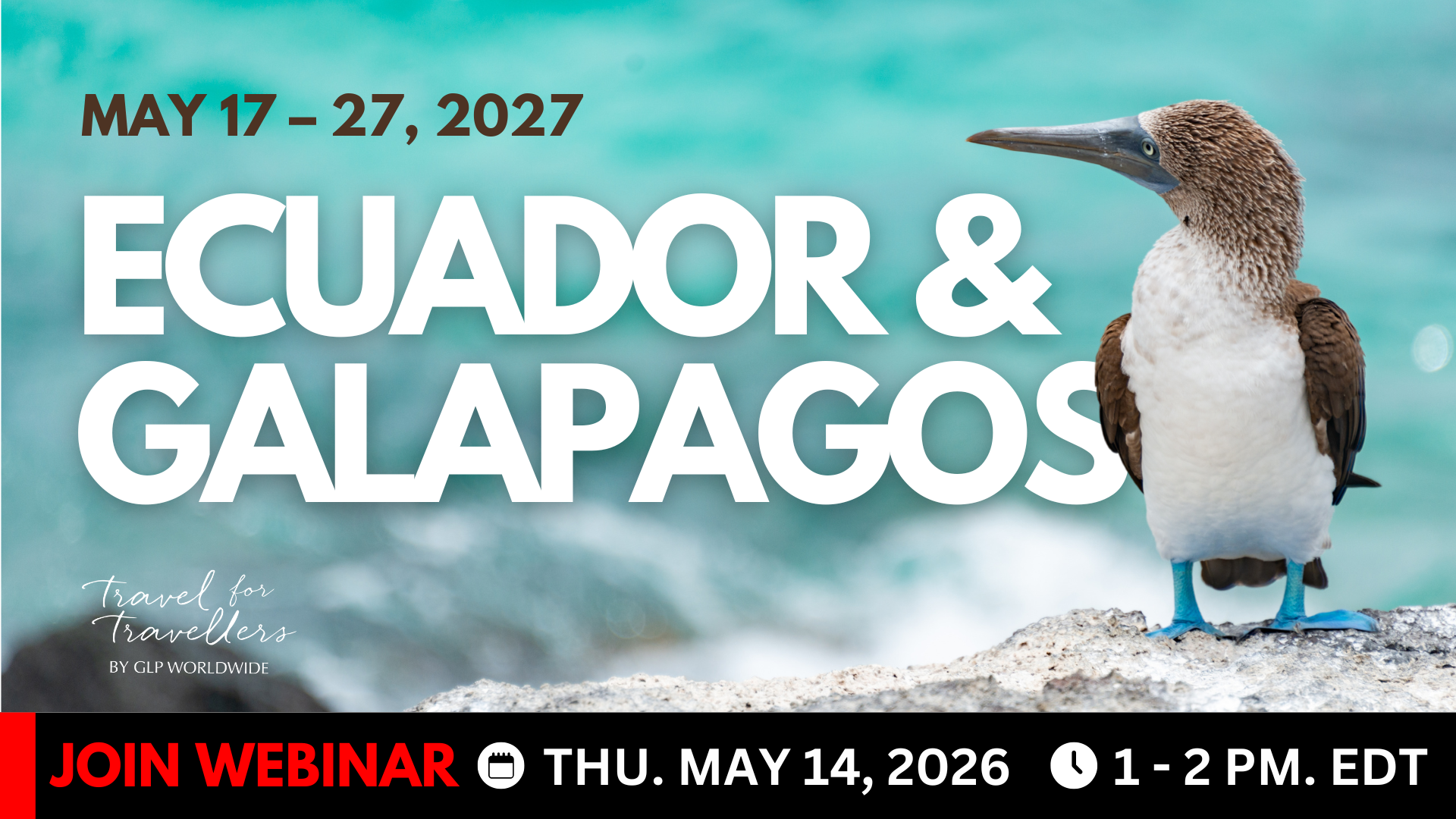 Hubspot E-newsletter Banner (1920 x 1080 px)-Feb-13-2026-09-20-11-2430-PM